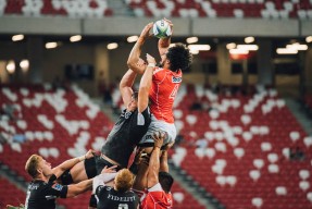 九游电脑版-葡萄牙马术队在2024年欧洲工作马术锦标赛中获得团体银牌，展现出色表现。