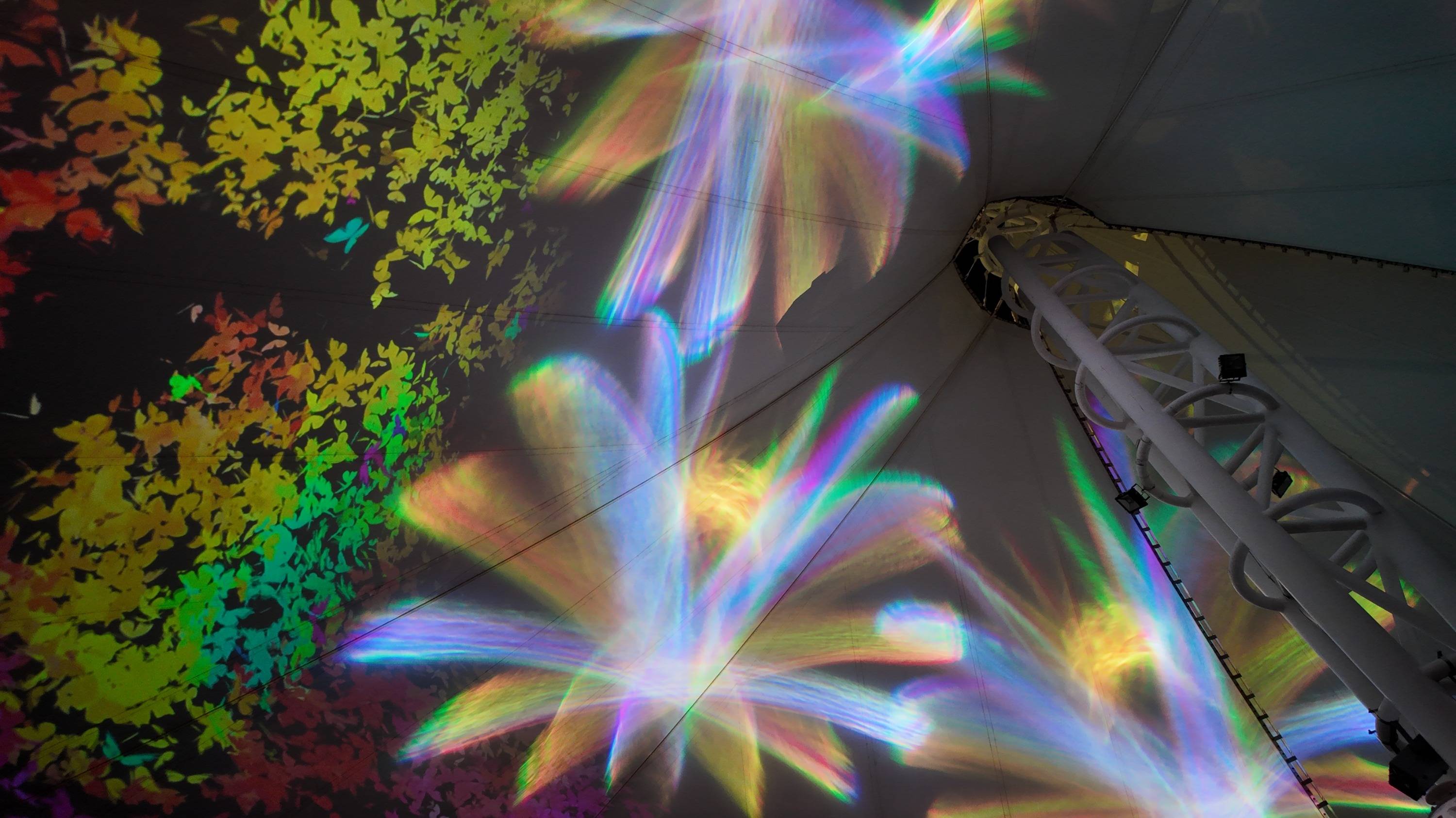 九游app下载中心-关于城市夜空灯光飞盘，光影中的极速瞬间的信息