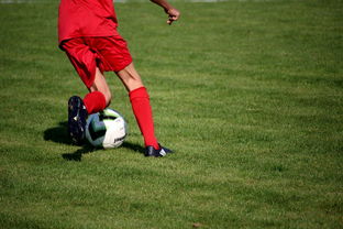 九游app下载中心-中国篮球俱乐部青训体系绩效评估方法，篮球俱乐部青训营